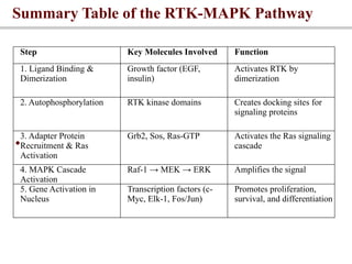 Rtk Steps Comprehensive Overview of Endocrine Physiology and Hormone Mechanisms ...
