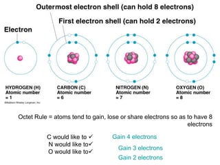 Octet Rule = atoms tend to gain, lose or share electrons so as to have 8
electrons
✓
C would like to
✓
N would like to
✓
O would like to
Gain 4 electrons
Gain 3 electrons
Gain 2 electrons
 