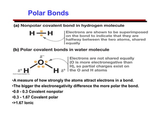 Polar Bonds
•A measure of how strongly the atoms attract electrons in a bond.
•The bigger the electronegativity difference the more polar the bond.
•0.0 - 0.3 Covalent nonpolar
•0.3 - 1.67 Covalent polar
•>1.67 Ionic
 