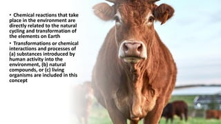 • Chemical reactions that take
place in the environment are
directly related to the natural
cycling and transformation of
the elements on Earth
• Transformations or chemical
interactions and processes of
(a) substances introduced by
human activity into the
environment, (b) natural
compounds, or (c) living
organisms are included in this
concept
 