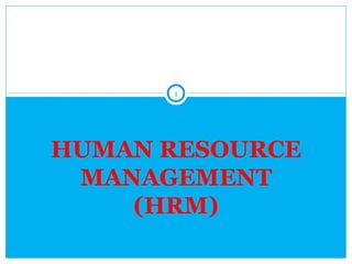 1




HUMAN RESOURCE
 MANAGEMENT
    (HRM)
 