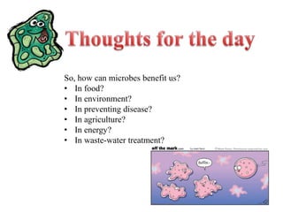 Thoughts for the daySo, how can microbes benefit us?In food?In environment?In preventing disease?In agriculture?In energy?In waste-water treatment?
