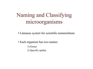 Naming and Classifying microorganisms Linnaeus system for scientific nomenclature