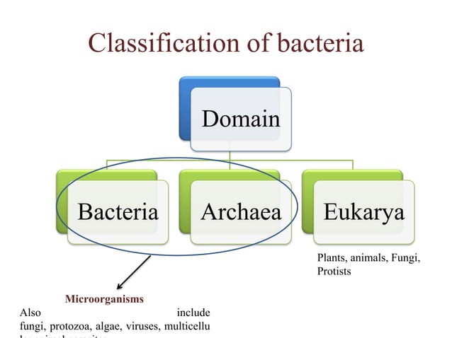 1 introduction to microbiology | PPTX