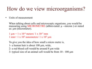 VirusesMulticellular animal parasitesToo small to be observed with light microscopeConsists of DNA/RNA coreCore is surrounded by protein coatCoat may be enclosed in a lipid envelopeViruses are replicated only when they are in living host cellBacteriophage-viruses that infect bacteriaViroids-nucleic acid without protein coatingPrions- Infectious protenacious particlesHelminths: flatworms and roundwormsMulticellular
