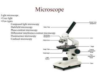How do we view microorganisms?Units of measurementWhen talking about cells and microscopic organisms, you would be measuring using MICROMETRE (abbreviated: µ --micron ) or stated as: µm (micrometer). 1 µm = 1 x 10-6 meters/ 1 x 10-3 mm	1 mm= 1 x 103 nanometers/ 1 x 103 µm To give you the idea of how small a micro metre is,	1- a human hair is about 100 µm, wide, 	2- a red blood cell would be around 8 µm wide	3- typical size of an animal cell would be from 10 - 100 µm