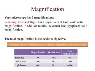 Refractive index- Light bending ability of a medium