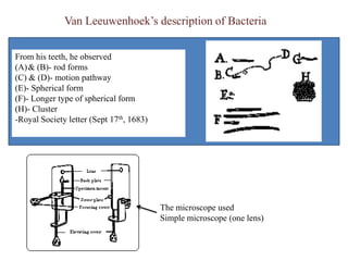 Immersion oil is used to keep the air from bending.Types of MicroscopesLight Microscope - found in most schools, use compound lenses and light to magnify objects. The lenses bend or refract the light, which makes the object beneath them appear closer. Stereoscope - this microscope allows for binocular (two eyes) viewing of larger specimens. (The spinning microscope at the top of this page is a stereoscope)Scanning Electron Microscope - allow scientists to view a universe too small to be seen with a light microscope. SEMs do not use light waves; they use electrons (negatively charged electrical particles) to magnify objects up to two million times. Transmission Electron Microscope - also uses electrons, but instead of scanning the surface (as with SEM's) electrons are passed through very thin specimens. Specimens may be stained with heavy metal salts