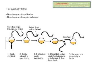 A Brief History of MicrobiologyDevelopment of microscopy