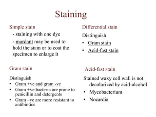 Development of aseptic techniqueProof that microbes cause disease1546: Hieronymus Fracastorius(GirolamoFracastoro) wrote "On Contagion", the 1st known discussion of the phenomenon of contagious infection. 1835: AgostinoBassi de Lodi showed that a disease affecting silkworms was caused by a fungus - the first microorganism to be recognized as a contagious agent of animal disease. 1847: Ignaz Semmelweiss (1818-1865), a Hungarian physician-decided that doctors in Vienna hospitals were spreading childbed fever while delivering babies. He started forcing doctors under his supervision to wash their hands before touching patients. 1857: Louis Pasteur proposed the “Germ theory of disease”.           - Ancients believed that disease was the result of a divine punishment. Pasteur fought to convince surgeons that germs existed and carried diseases, and dirty instruments and hands spread germs and therefore disease. Pasteur's pasteurization process killed germs and prevented the spread of disease.1867: Joseph Lister (1827-1912) introduced antiseptics in surgery. By spraying carbolic acid on surgical instruments, wounds and dressings, he reduced surgical mortality due to bacterial infection considerably. 1876: Robert Koch (1843-1910). German bacteriologist was the first to cultivate anthrax bacteria outside the body using blood serum at body temperature.