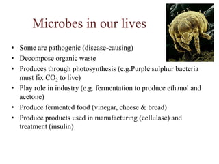 Microbes in our livesSome are pathogenic (disease-causing)Decompose organic wasteProduces through photosynthesis (e.g.Purplesulphur bacteria must fix CO2 to live)Play role in industry (e.g. fermentation to produce ethanol and acetone)Produce fermented food (vinegar, cheese & bread)Produce products used in manufacturing (cellulase) and treatment (insulin)