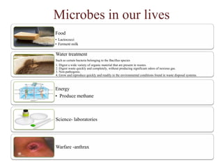 Microbes in our lives