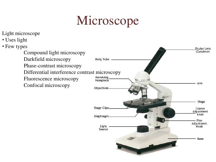 What instrument uses light and one or more lenses to view cells?