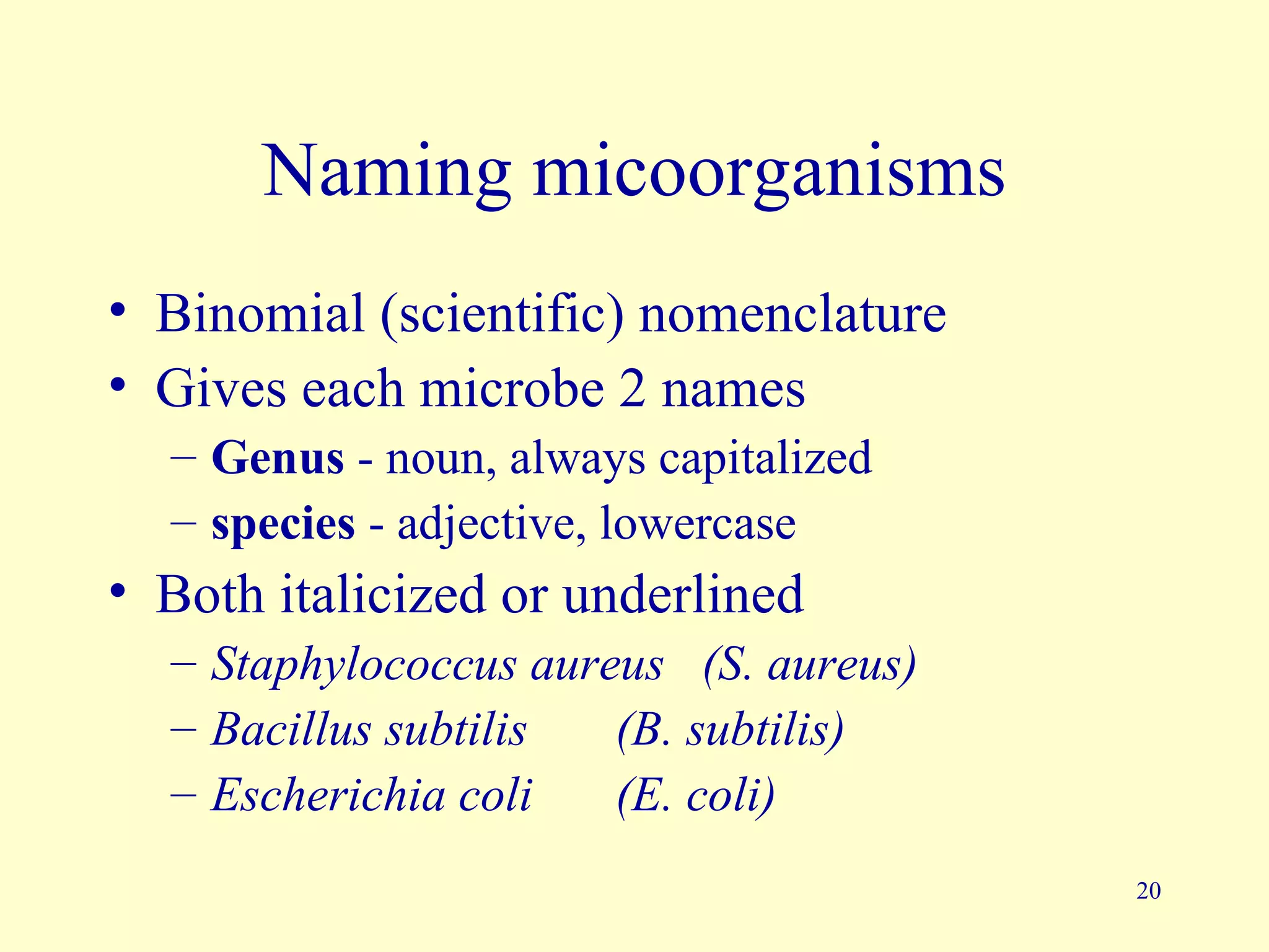 Naming micoorganisms
• Binomial (scientific) nomenclature
• Gives each microbe 2 names
  – Genus - noun, always capitalized
  – species - adjective, lowercase
• Both italicized or underlined
  – Staphylococcus aureus (S. aureus)
  – Bacillus subtilis  (B. subtilis)
  – Escherichia coli   (E. coli)
                                        20
 