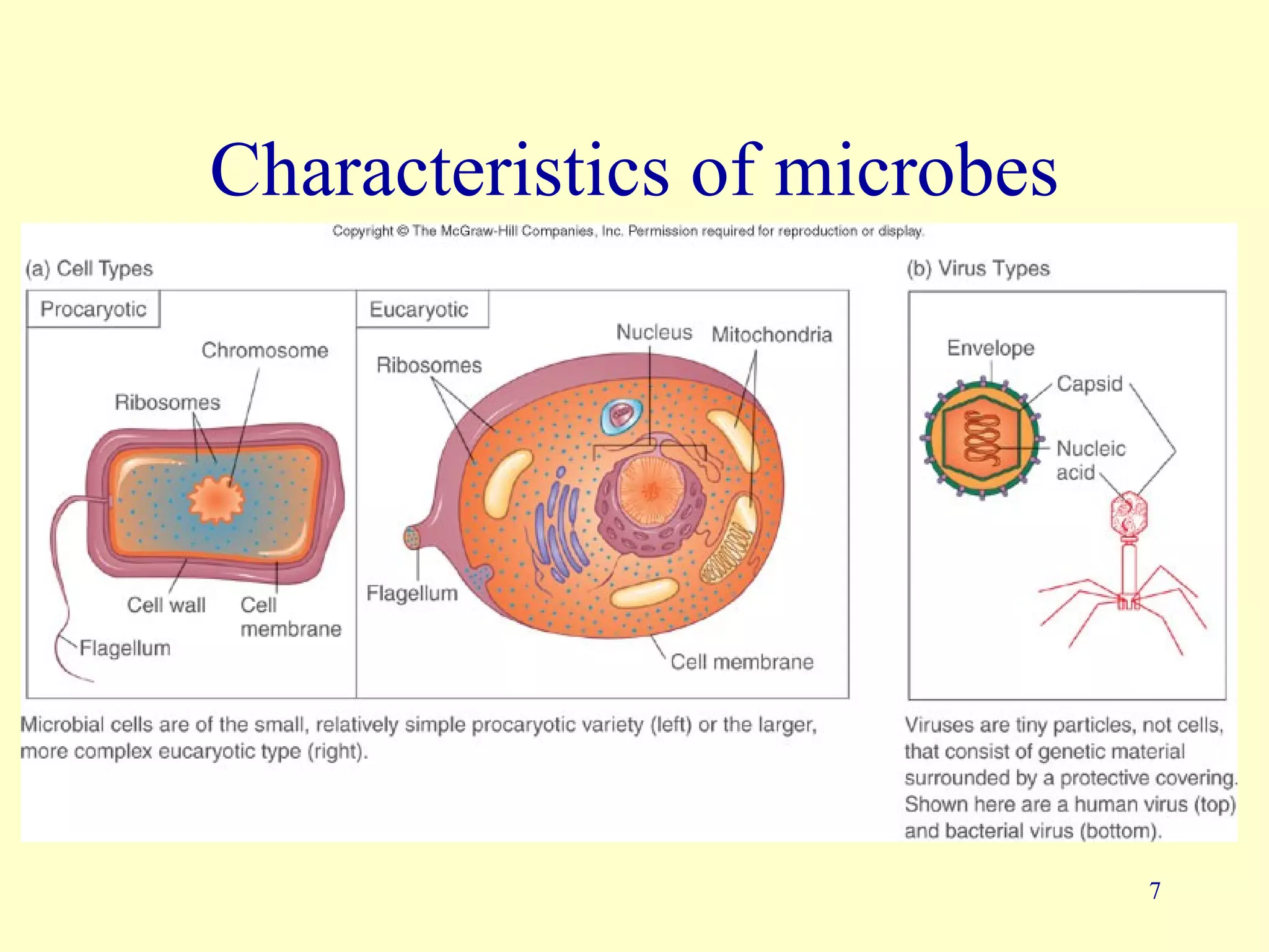 Characteristics of microbes




                              7
 