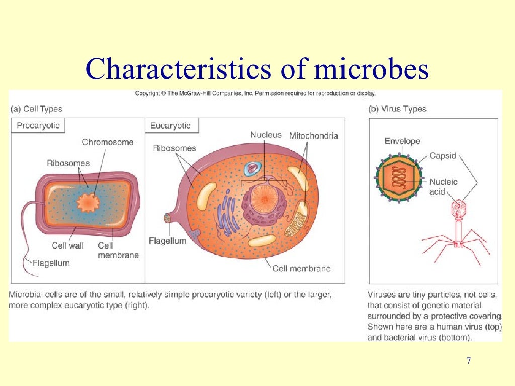 1 introduction to microbiology