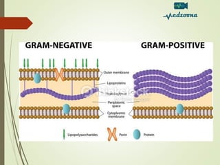 1 Introduction To Microbiology Course Basics Pdf