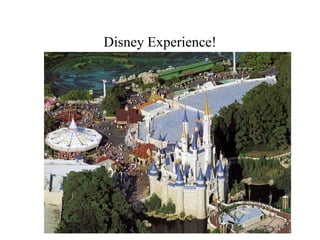 Disney Experience!
 