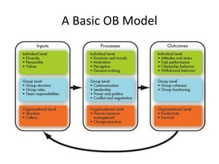 A Basic OB Model
 