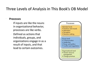 Three Levels of Analysis in This Book’s OB Model
• Processes
– If inputs are like the nouns
in organizational behavior,
processes are like verbs.
– Defined as actions that
individuals, groups, and
organizations engage in as a
result of inputs, and that
lead to certain outcomes.
 