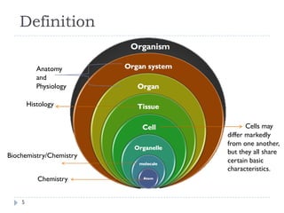 1- Introduction To Physiology.pdfIntroduction To Physiology | PDF