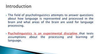 Introduction to Psycholinguistics | PPTX
