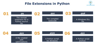 python basics Introduction_To_Python.pptx