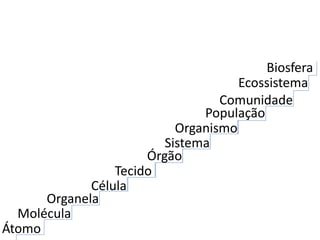 Átomo
Molécula
Organela
Célula
Tecido
Órgão
Sistema
Organismo
População
Comunidade
Ecossistema
Biosfera
 
