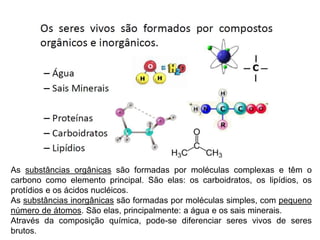 b) Composição química:
As substâncias orgânicas são formadas por moléculas complexas e têm o
carbono como elemento principal. São elas: os carboidratos, os lipídios, os
protídios e os ácidos nucléicos.
As substâncias inorgânicas são formadas por moléculas simples, com pequeno
número de átomos. São elas, principalmente: a água e os sais minerais.
Através da composição química, pode-se diferenciar seres vivos de seres
brutos.
 