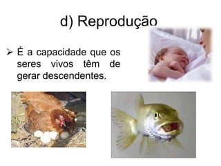 d) Reprodução
 É a capacidade que os
seres vivos têm de
gerar descendentes.
 