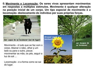 f) Movimento e Locomoção: Os seres vivos apresentam movimentos
em respostas a múltiplos estímulos. Movimento é qualquer alteração
na posição inicial de um corpo. Um tipo especial de movimento é a
locomoção- deslocamento do indivíduo por suas próprias forças.
Ser capaz de se locomover (sai do lugar)
ser incapaz de
se locomover
Girassol segue o
movimento do sol
Movimento - é tudo que se faz com o
corpo. Abanar o rabo, olhar p um
lado ou para o outro, piscar,
movimentar as mão, os pés, seguir a
luz do sol ...
Locomoção - é a forma como se sai
do lugar.
 