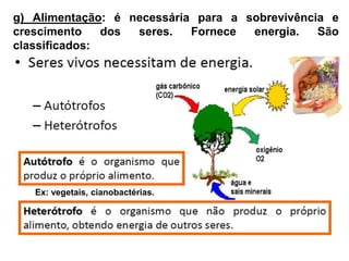 g) Alimentação: é necessária para a sobrevivência e
crescimento dos seres. Fornece energia. São
classificados:
Ex: vegetais, cianobactérias.
Ex: animais, fungos, bactérias, protistas.
 