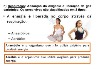 h) Respiração: Absorção do oxigênio e liberação de gás
carbônico. Os seres vivos são classificados em 2 tipos:
 
