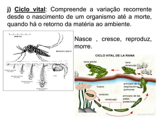 j) Ciclo vital: Compreende a variação recorrente
desde o nascimento de um organismo até a morte,
quando há o retorno da matéria ao ambiente.
Nasce , cresce, reproduz,
morre.
 