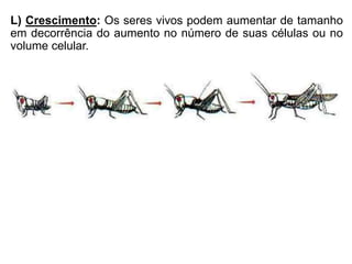 L) Crescimento: Os seres vivos podem aumentar de tamanho
em decorrência do aumento no número de suas células ou no
volume celular.
 