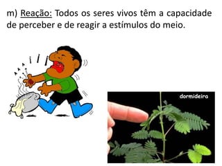 m) Reação: Todos os seres vivos têm a capacidade
de perceber e de reagir a estímulos do meio.
dormideira
 
