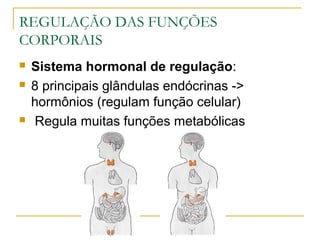 REGULAÇÃO DAS FUNÇÕES
CORPORAIS
 Sistema hormonal de regulação:
 8 principais glândulas endócrinas ->
hormônios (regulam função celular)
 Regula muitas funções metabólicas
 