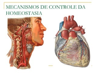 MECANISMOS DE CONTROLE DA
HOMEOSTASIA
 