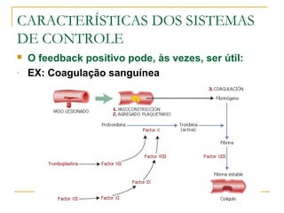 CARACTERÍSTICAS DOS SISTEMAS
DE CONTROLE
 O feedback positivo pode, às vezes, ser útil:
- EX: Coagulação sanguínea
 