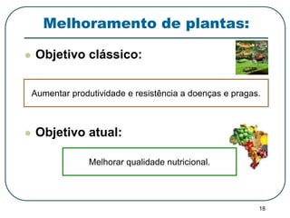 18 
Melhoramento de plantas: 
 Objetivo clássico: 
Aumentar produtividade e resistência a doenças e pragas. 
 Objetivo atual: 
Melhorar qualidade nutricional. 
 