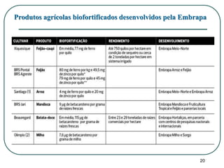 Produtos agrícolas biofortificados desenvolvidos pela Embrapa 
20 
 