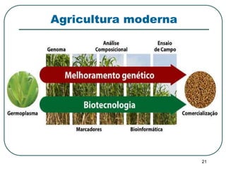 21 
Agricultura moderna 
 