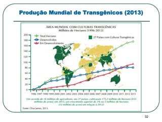 32 
Produção Mundial de Transgênicos (2013) 
 