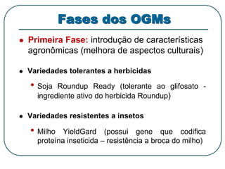 Fases dos OGMs 
 Primeira Fase: introdução de características 
agronômicas (melhora de aspectos culturais) 
 Variedades tolerantes a herbicidas 
• Soja Roundup Ready (tolerante ao glifosato - 
ingrediente ativo do herbicida Roundup) 
 Variedades resistentes a insetos 
• Milho YieldGard (possui gene que codifica 
proteína inseticida – resistência a broca do milho) 
 
