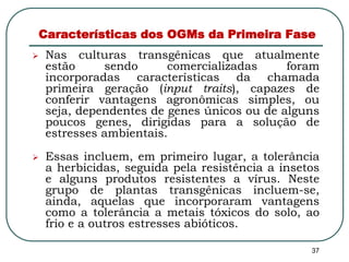 Características dos OGMs da Primeira Fase 
 Nas culturas transgênicas que atualmente 
estão sendo comercializadas foram 
incorporadas características da chamada 
primeira geração (input traits), capazes de 
conferir vantagens agronômicas simples, ou 
seja, dependentes de genes únicos ou de alguns 
poucos genes, dirigidas para a solução de 
estresses ambientais. 
 Essas incluem, em primeiro lugar, a tolerância 
a herbicidas, seguida pela resistência a insetos 
e alguns produtos resistentes a vírus. Neste 
grupo de plantas transgênicas incluem-se, 
ainda, aquelas que incorporaram vantagens 
como a tolerância a metais tóxicos do solo, ao 
frio e a outros estresses abióticos. 
37 
 
