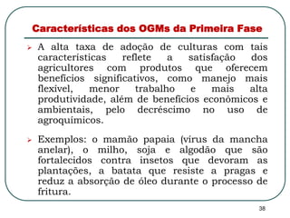 Características dos OGMs da Primeira Fase 
 A alta taxa de adoção de culturas com tais 
características reflete a satisfação dos 
agricultores com produtos que oferecem 
benefícios significativos, como manejo mais 
flexível, menor trabalho e mais alta 
produtividade, além de benefícios econômicos e 
ambientais, pelo decréscimo no uso de 
agroquímicos. 
 Exemplos: o mamão papaia (vírus da mancha 
anelar), o milho, soja e algodão que são 
fortalecidos contra insetos que devoram as 
plantações, a batata que resiste a pragas e 
reduz a absorção de óleo durante o processo de 
fritura. 
38 
 