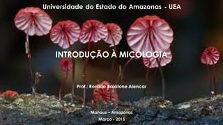 INTRODUÇÃO À MICOLOGIA
Prof.: Ronildo Baiatone Alencar
Manaus – Amazonas
Março - 2015
Universidade do Estado do Amazonas - UEA
 