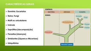 CARACTERÍSTICAS GERAIS
Domínio: Eucariotos
Reino: Fungi
Multi ou unicelulares
Imóveis
Saprófitas (decomposição)
Parasitas (doenças)
Simbiontes (Líquens e Micorrizas)
Ubiquitários