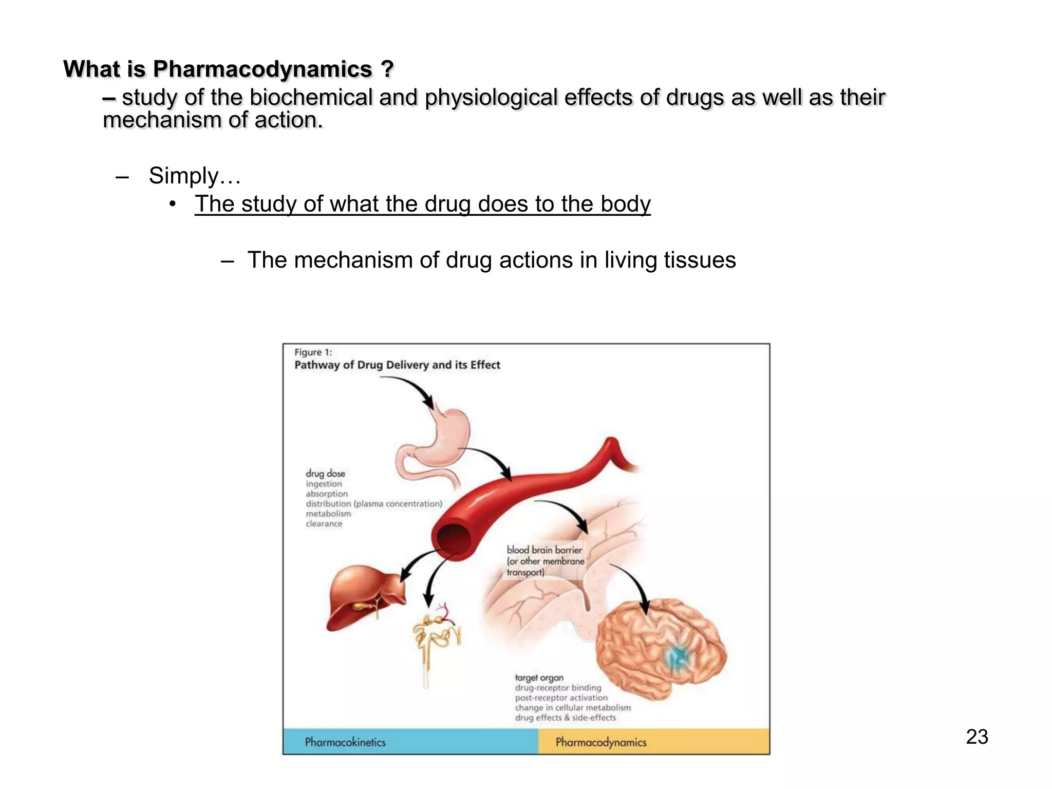 INTRODUCTION TO PHARMACOLOGY | PPTX
