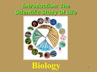 Introduction: The Scientific Study Of Life Biology 